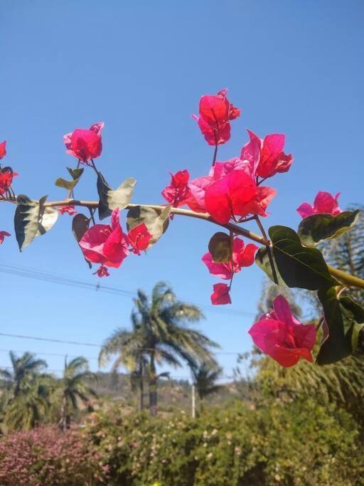 Chale Aconchegante Em Estancia Climatica Santo Antonio do Leite Exterior photo